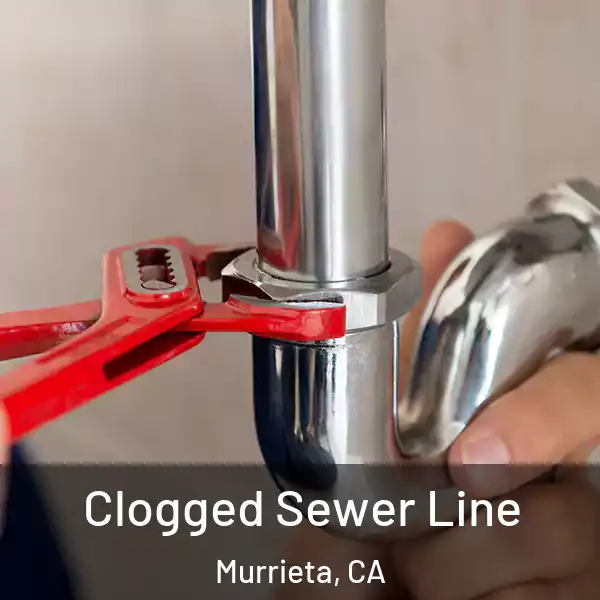  Clogged Sewer Line Murrieta, CA