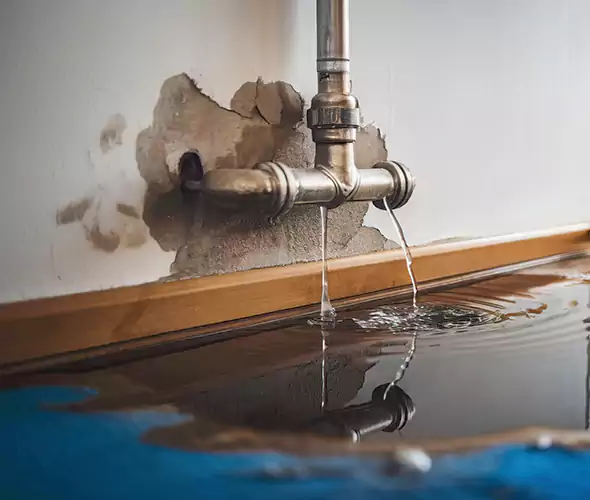 Professional Water Damage Restoration Experts in Murrieta, CA — Fast, Reliable & Certified