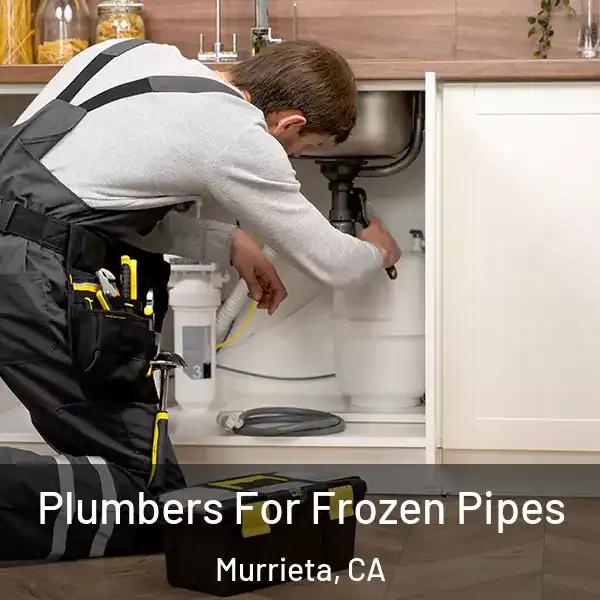  Plumbers For Frozen Pipes Murrieta, CA