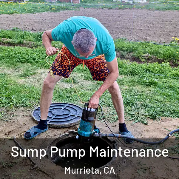 Sump Pump Maintenance Murrieta, CA