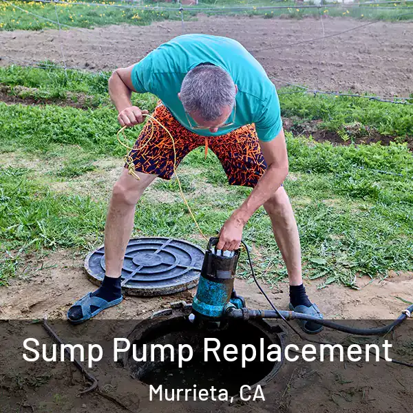  Sump Pump Replacement Murrieta, CA