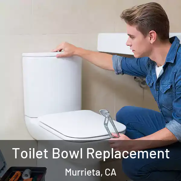  Toilet Bowl Replacement Murrieta, CA